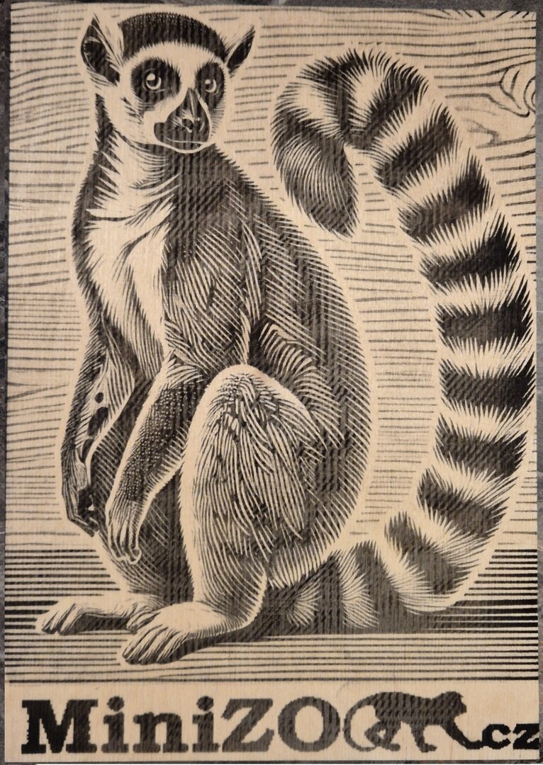 Lemurka Hermiona